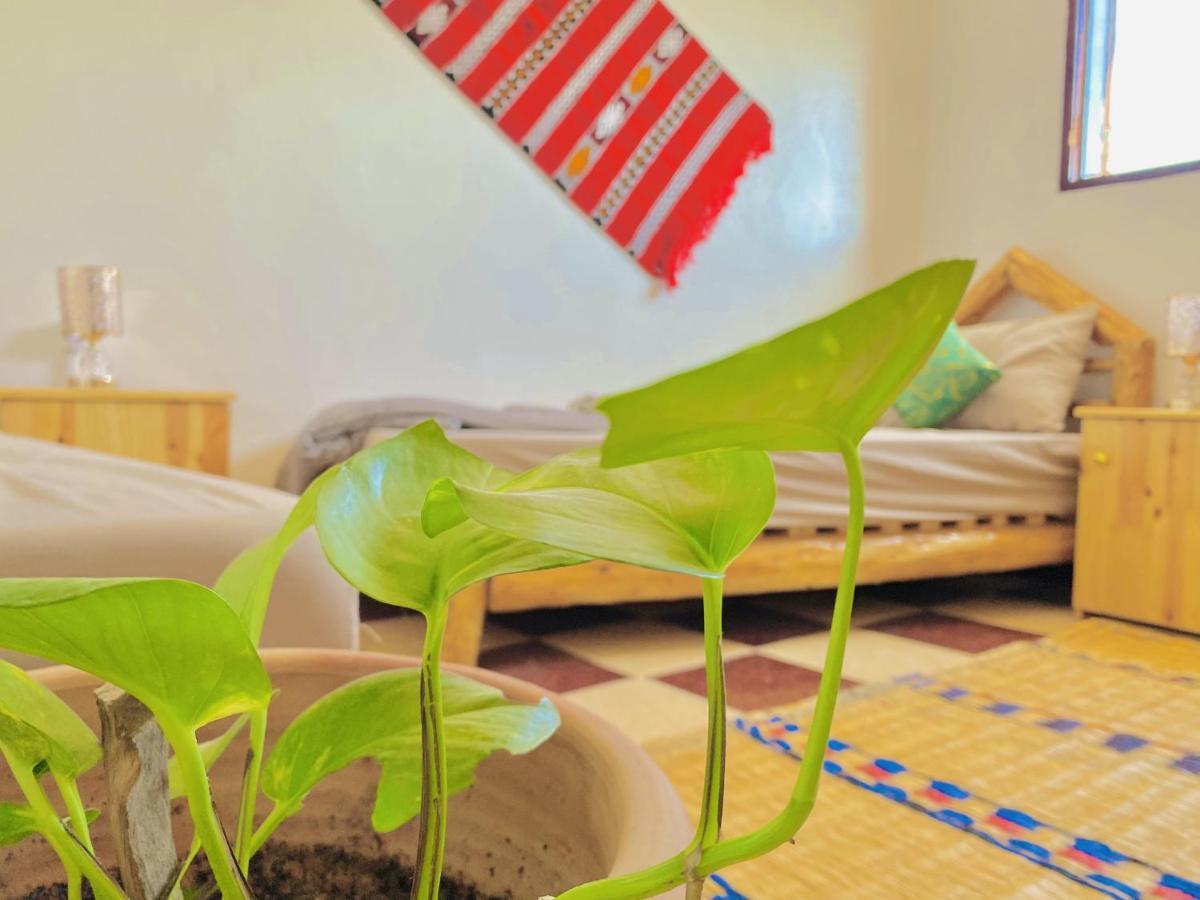טגזוט Tizaou Guest House מראה חיצוני תמונה